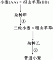 放大鏡的放大倍數(shù)是怎樣確定的？