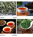 摘茶葉摘哪個(gè)部位