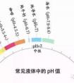 ph值是什么意思