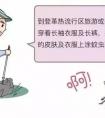 滅蚊子最簡(jiǎn)單的方法都是什么?