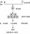 滲透壓是什么？