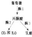 胞質(zhì)是什么啊，是不是細(xì)胞質(zhì)