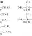 2分鐘告訴你蛋白質(zhì)、氨基酸、肽的區(qū)別……