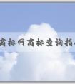 中國商標(biāo)網(wǎng)商標(biāo)查詢指南：注意事項、方法與功能