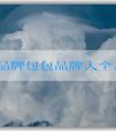 法國(guó)品牌包包品牌大全、流行趨勢(shì)及選購攻略