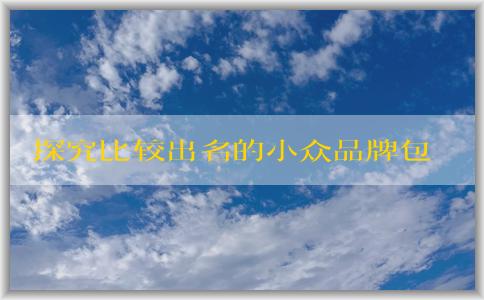 探究比較出名的小眾品牌包包的設(shè)計特點、質(zhì)量優(yōu)劣及備受追捧的原因