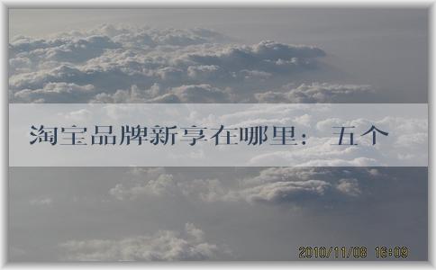 淘寶品牌新享在哪里：五個(gè)維度問題、商業(yè)價(jià)值、品牌建設(shè)及新品牌介紹